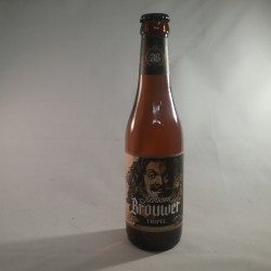 Adriaen Brouwer tripel (bio)